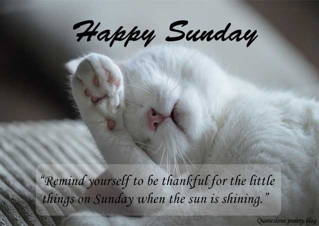 sunday-funny-quotes