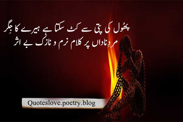 Students poetry in urdu